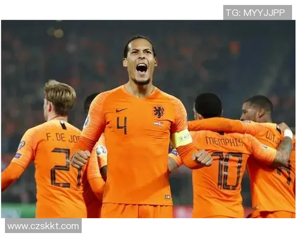 006荷兰对阵北爱尔兰精彩回顾与赛后分析