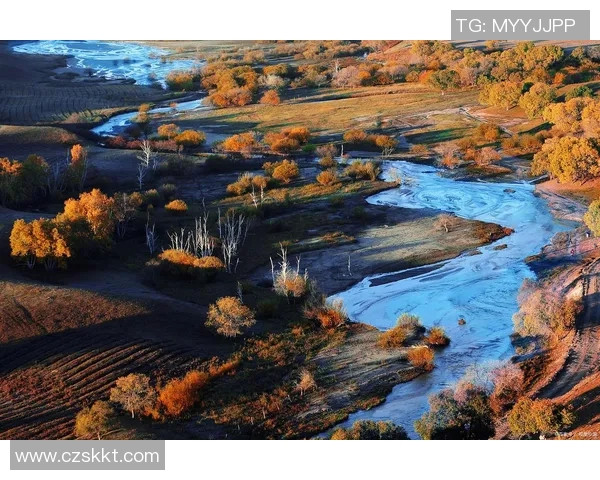 切塞纳的魅力探秘:历史文化与自然风光的完美融合之旅 切塞纳的魅力探秘:历史文化与自然风光的完美融合之旅