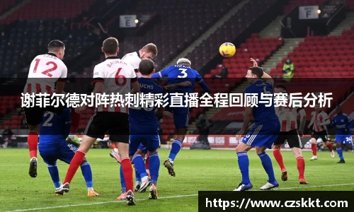 谢菲尔德对阵热刺精彩直播全程回顾与赛后分析